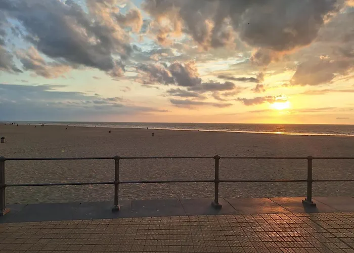 公寓 55 奥斯滕德